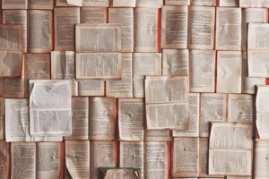 Терминология, используемая при общении на тему Mystery Shopping